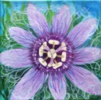 Passion Flower